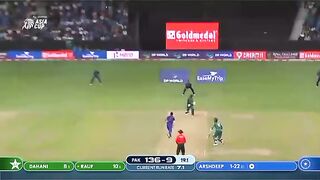 Indial hiting for cricket