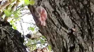 This man rescued a newborn squirrel and then through it home
