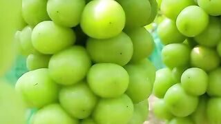 Fruit plants