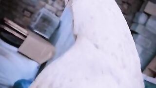 Snow is black?