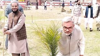 Plantation in Hasilpur