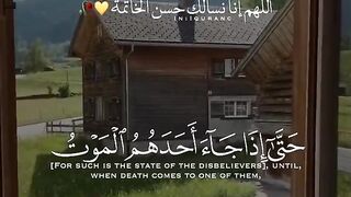 سکون قلب قرآن پاک کی تلاوت