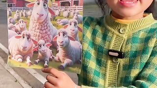Animals Collection