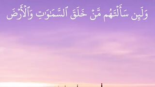 Recitation of quraan majeed