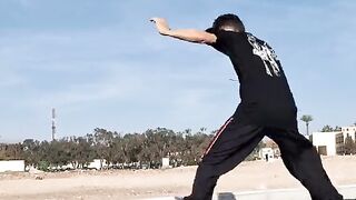 How to make "spin hook kick Capoeira