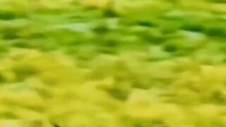Today, this video has been released as So Empress Video