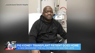 Pig kidney transplant patient goes home.
