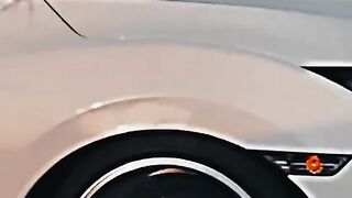 Car lovers