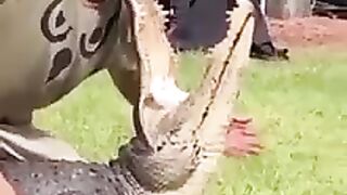 This Guy Almost got his Hand Bit off.....