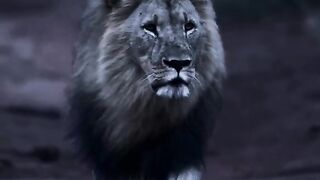 Mind blowing motivate