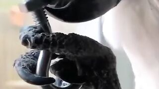 Cockatoo