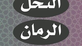 مسابقات الروبوت التعليمي