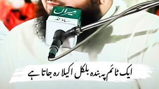Taqreer peer ajmal sam