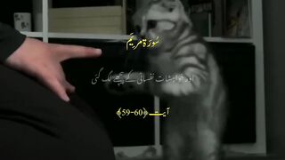 Urdu Quran # #quran #trending #viral #ytshorts #shorts #urdu #IslamicINFO