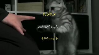 Urdu Quran # #quran #trending #viral #ytshorts #shorts #urdu #IslamicINFO