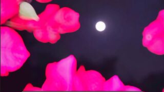 Whatsapp status || Jumma mubark❤