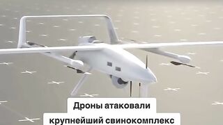 ДРОНОВЕ АТАКУВАХА ГОЛЯМ СВИНЕКОМПЛЕКС В БЕЛГОРОД