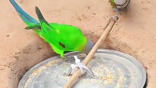 my best videos