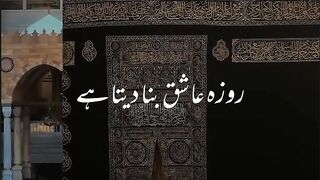 Rozy ke faizlat