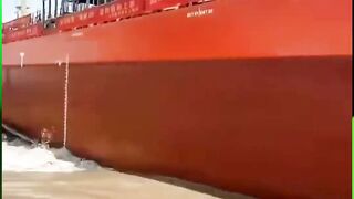 Fastest Tree Cutting And Trimming Machine #Cutting