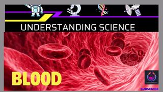 Blood