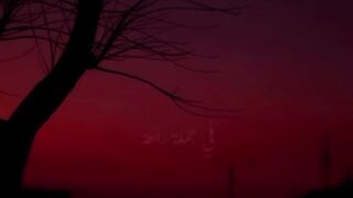 تنيناتنا منعرف شو صار