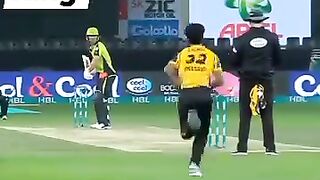 Cricket video, funny Entertainment video