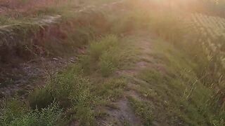 Village evening view so beautiful ????????????