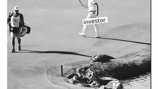 Investor vs Traders