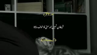 Urdu Quran # #quran #trending #viral #ytshorts #shorts #urdu #IslamicINFO