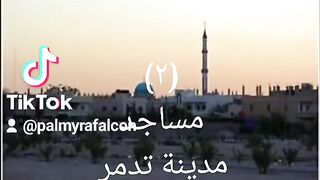 مساجد مدينة تدمر