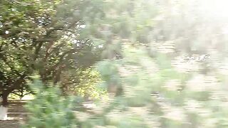 Village life so beautiful view of the Sindh