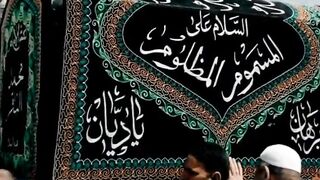 chal basa zainab(s) ka baba,,????????#trendingshorts #ayyameali #youtubeshorts #imamali #al