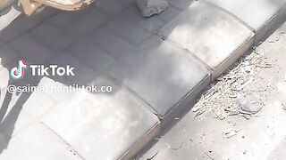 Best to funny videos.real funny videos. funny video.viral funny video.latest funny video