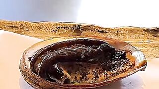 Lets try this Abalone