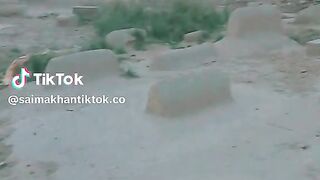 Best to funny videos.real funny videos. funny video.viral funny video.latest funny video