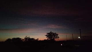 Sunset Vibes