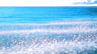 Ocean