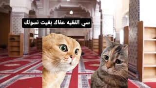 حوار شيق