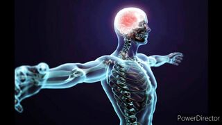 Information about the human body