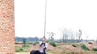 Dog training malinois Belgian