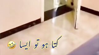 videos 2023,best funny videos 2023,fun ???????? #DILSHAD #shorts #short #youtubeshorts