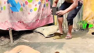 Regardez ce video 8181
