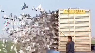 Funny