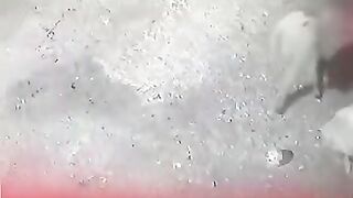 لصوص الأغنام