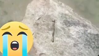 Qodrat Ka nishaniya