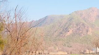 Natural of beautiful flowers or mountains travel Pakistan flowers life beautiful view