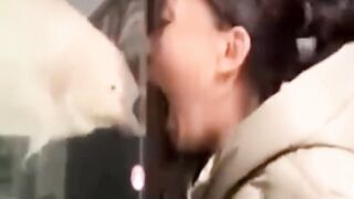 Amazing footage shown for the first time