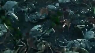Netflix series 17 Never seen Creature l