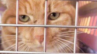 Good News: Mr. Fresh got permanently adopted ????????????
